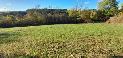 Terrain à Barguelonne-en-Quercy en Lot (46) de 2460 m² à vendre au prix de 40000€ - 1