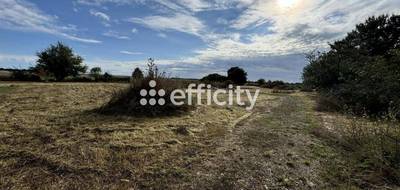 Terrain à Barro en Charente (16) de 5300 m² à vendre au prix de 87450€ - 1