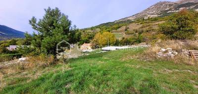 Terrain à Thorame-Haute en Alpes-de-Haute-Provence (04) de 1681 m² à vendre au prix de 153000€ - 3