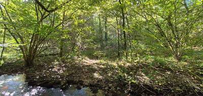 Terrain à Clergoux en Corrèze (19) de 12850 m² à vendre au prix de 18990€ - 4