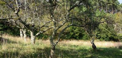 Terrain à Aubenas en Ardèche (07) de 4806 m² à vendre au prix de 147000€ - 3