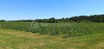 Terrain à Mazion en Gironde (33) de 24000 m² à vendre au prix de 213640€ - 2