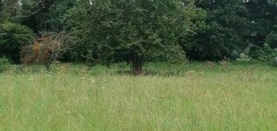 Terrain à Magny-en-Vexin en Val-d'Oise (95) de 1917 m² à vendre au prix de 135990€ - 4