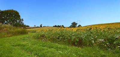 Terrain à Saint-Maurice-lès-Couches en Saône-et-Loire (71) de 2000 m² à vendre au prix de 27000€ - 2