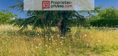 Terrain à Beaulieu-sur-Layon en Maine-et-Loire (49) de 0 m² à vendre au prix de 65000€ - 1