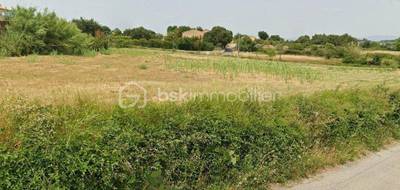 Terrain à Saint-Pons-de-Mauchiens en Hérault (34) de 558 m² à vendre au prix de 163900€ - 4