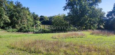 Terrain à Sainte-Colombe en Gironde (33) de 1165 m² à vendre au prix de 91500€ - 4