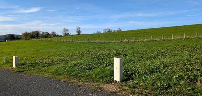 Terrain à Saint-Martin-d'Estréaux en Loire (42) de 827 m² à vendre au prix de 25000€ - 4