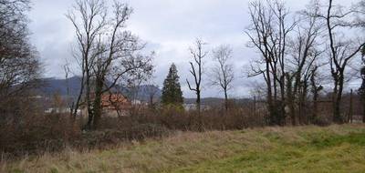 Terrain à Saint-Dié-des-Vosges en Vosges (88) de 1861 m² à vendre au prix de 54900€ - 4