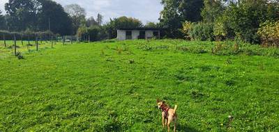 Terrain à Fiefs en Pas-de-Calais (62) de 0 m² à vendre au prix de 40000€ - 2