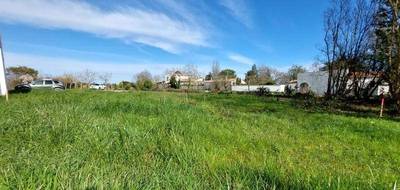 Terrain à Saint-Pierre-d'Oléron en Charente-Maritime (17) de 582 m² à vendre au prix de 149500€ - 2