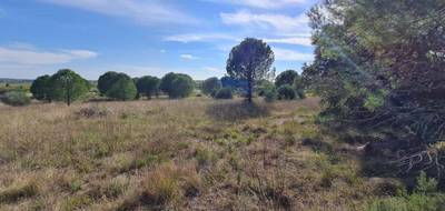 Terrain à Pouzolles en Hérault (34) de 6370 m² à vendre au prix de 19500€ - 3