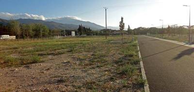 Terrain à Ille-sur-Têt en Pyrénées-Orientales (66) de 1240 m² à vendre au prix de 0€ - 2