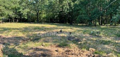 Terrain à Montaigut-sur-Save en Haute-Garonne (31) de 901 m² à vendre au prix de 149000€ - 4