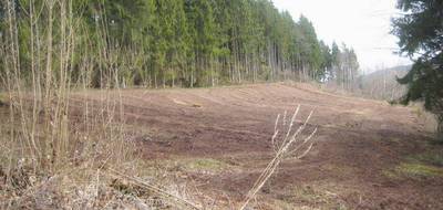 Terrain à Saint-Dié-des-Vosges en Vosges (88) de 10078 m² à vendre au prix de 99000€ - 1