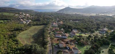 Terrain à Pietracorbara en Haute-Corse (2B) de 1400 m² à vendre au prix de 330000€ - 1