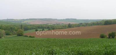 Terrain à Lévignac en Haute-Garonne (31) de 2500 m² à vendre au prix de 125000€ - 4