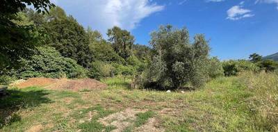 Terrain à Pégomas en Alpes-Maritimes (06) de 9720 m² à vendre au prix de 990000€ - 1