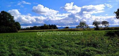 Terrain à Lécussan en Haute-Garonne (31) de 4898 m² à vendre au prix de 68000€ - 4