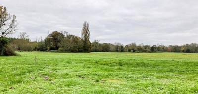 Terrain à Chepniers en Charente-Maritime (17) de 3600 m² à vendre au prix de 74000€ - 1