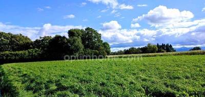 Terrain à Lécussan en Haute-Garonne (31) de 4898 m² à vendre au prix de 68000€ - 3