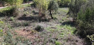 Terrain à Taussac-la-Billière en Hérault (34) de 850 m² à vendre au prix de 55000€ - 1