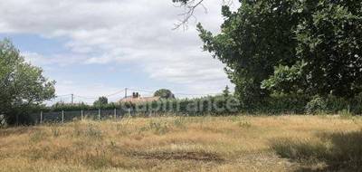 Terrain à Monétay-sur-Allier en Allier (03) de 3676 m² à vendre au prix de 66000€ - 2