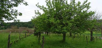 Terrain à Aubas en Dordogne (24) de 10164 m² à vendre au prix de 212000€ - 3