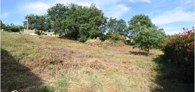 Terrain à Lézignan-la-Cèbe en Hérault (34) de 700 m² à vendre au prix de 187250€ - 4