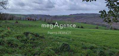 Terrain à Paulinet en Tarn (81) de 1134 m² à vendre au prix de 34000€ - 1