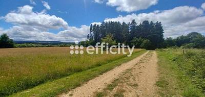 Terrain à Ruynes-en-Margeride en Cantal (15) de 10021 m² à vendre au prix de 53889€ - 3