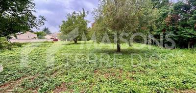 Terrain à Mazamet en Tarn (81) de 1000 m² à vendre au prix de 55000€ - 1