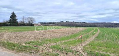 Terrain à Torfou en Essonne (91) de 1084 m² à vendre au prix de 125000€ - 1