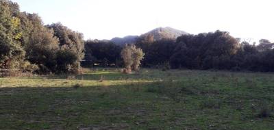 Terrain à Corte en Haute-Corse (2B) de 4360 m² à vendre au prix de 340700€ - 1