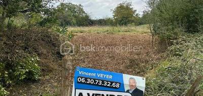 Terrain à Brains-sur-Gée en Sarthe (72) de 2300 m² à vendre au prix de 43900€ - 3