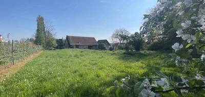 Terrain à Berstett en Bas-Rhin (67) de 3180 m² à vendre au prix de 559000€ - 1