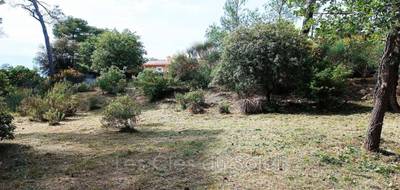 Terrain à Rocbaron en Var (83) de 1654 m² à vendre au prix de 212000€ - 1