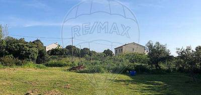 Terrain à Pietroso en Haute-Corse (2B) de 1151 m² à vendre au prix de 93200€ - 2