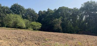 Terrain à Saint-Hilaire-Peyroux en Corrèze (19) de 2389 m² à vendre au prix de 34000€ - 4