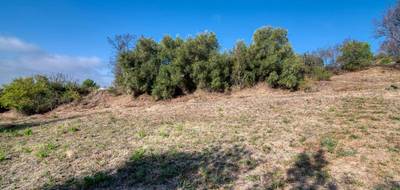 Terrain à Caunes-Minervois en Aude (11) de 1600 m² à vendre au prix de 82000€ - 2