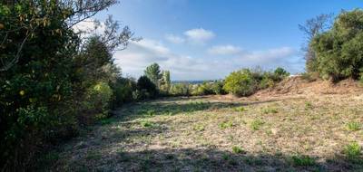 Terrain à Caunes-Minervois en Aude (11) de 1600 m² à vendre au prix de 82000€ - 4