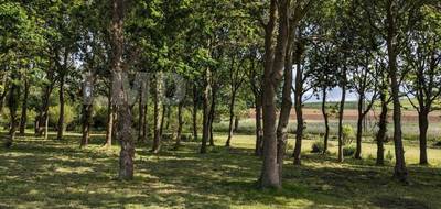 Terrain à Plomodiern en Finistère (29) de 3500 m² à vendre au prix de 42900€ - 2