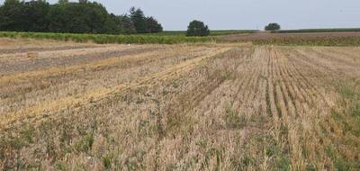 Terrain à Pérignac en Charente-Maritime (17) de 1950 m² à vendre au prix de 40000€ - 3