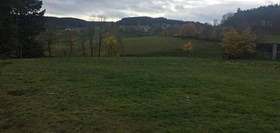 Terrain à Dunières en Haute-Loire (43) de 1218 m² à vendre au prix de 39900€ - 2