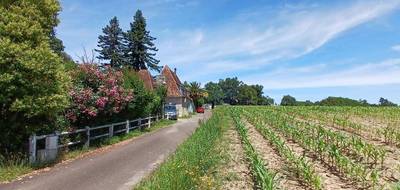 Terrain à Mugron en Landes (40) de 566 m² à vendre au prix de 50000€ - 3