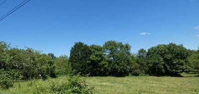 Terrain à Cherveix-Cubas en Dordogne (24) de 5595 m² à vendre au prix de 9990€ - 3