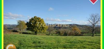 Terrain à Nizerolles en Allier (03) de 0 m² à vendre au prix de 24000€ - 1