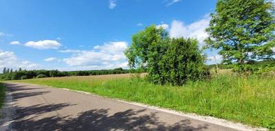 Terrain à Chaource en Aube (10) de 14875 m² à vendre au prix de 199900€ - 3