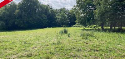 Terrain à Saint-Clément en Corrèze (19) de 5061 m² à vendre au prix de 34000€ - 2