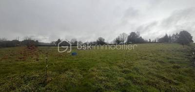 Terrain à Plumelec en Morbihan (56) de 2400 m² à vendre au prix de 130000€ - 4